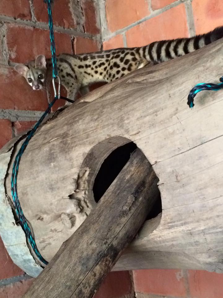 10389249_1549952448606969_8546754583304209954_n