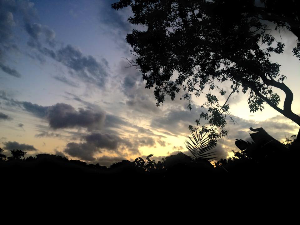 10392501_1549951768607037_9058636287639874565_n