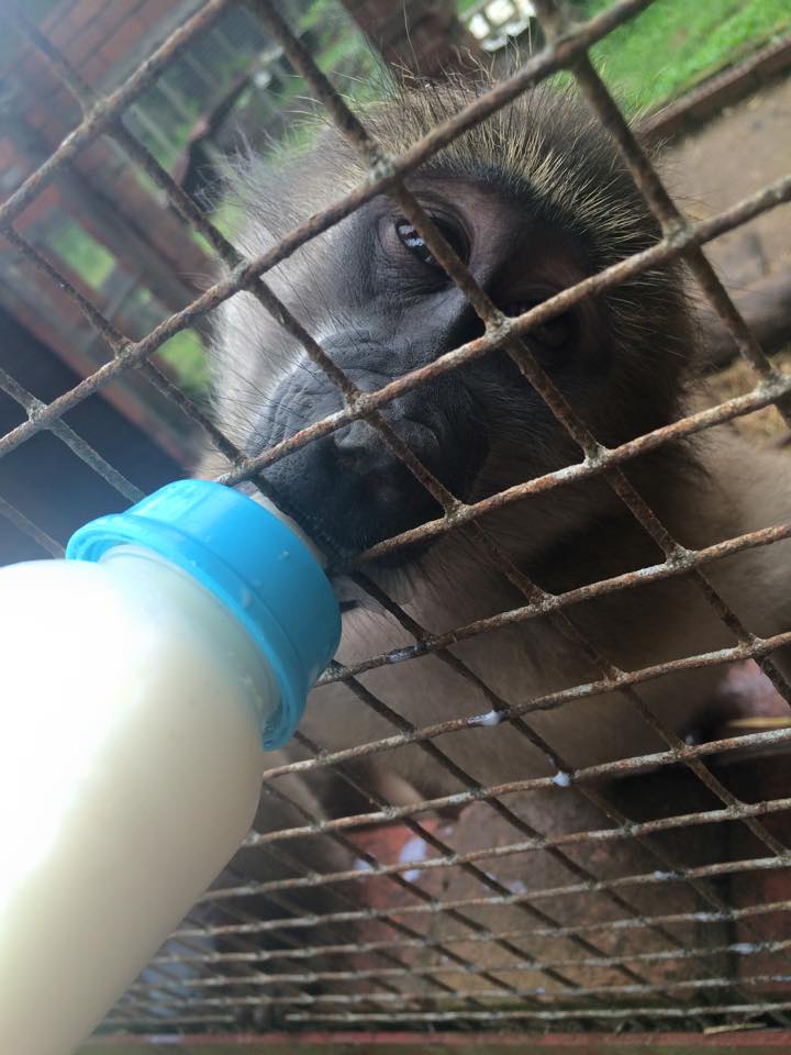 10858486_1549952105273670_473530441762501238_n