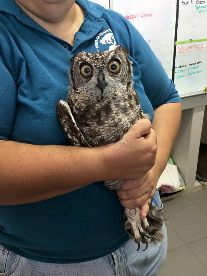 11002641_1549952351940312_3510846049847947799_n