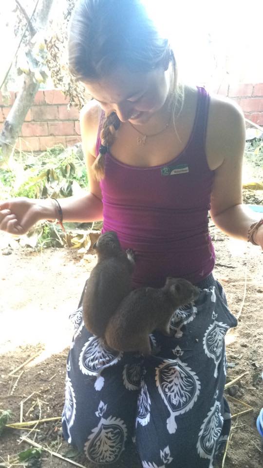 1514586_1545381585730722_2227857904318075918_n