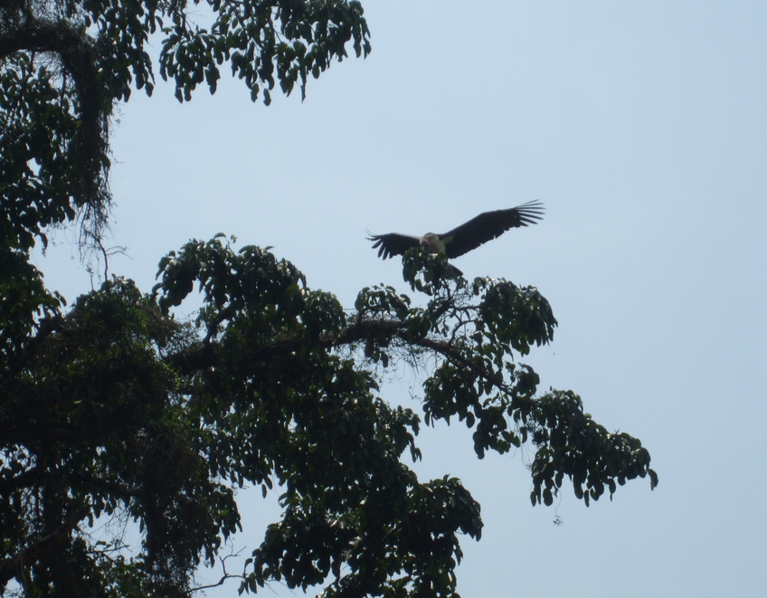 Screen Shot 2015-02-15 at 7.04.37 AM