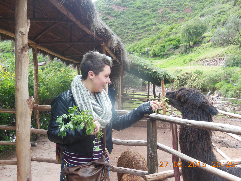 Screen Shot 2015-02-17 at 8.34.03 AM