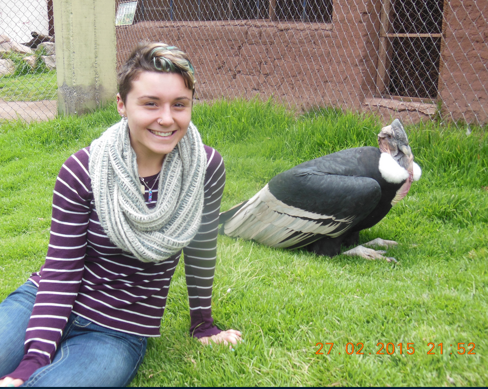 Screen Shot 2015-02-17 at 8.34.38 AM