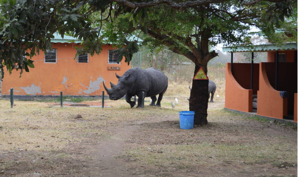 Screen Shot 2015-02-21 at 5.57.18 PM