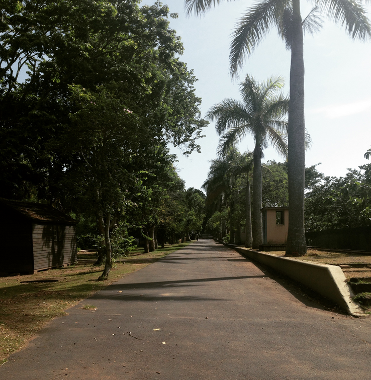 Screen Shot 2015-02-23 at 8.42.55 AM