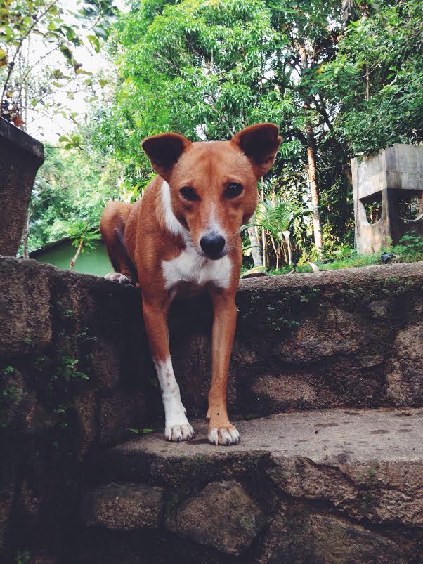 Processed with VSCOcam with f2 preset