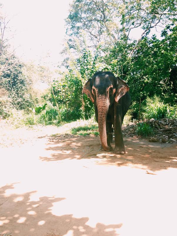 Processed with VSCOcam with c1 preset