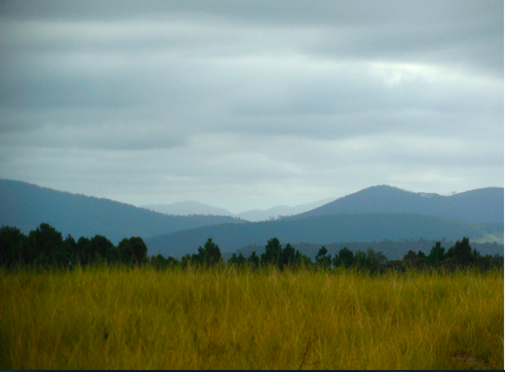 Screen Shot 2015-03-16 at 8.58.07 AM