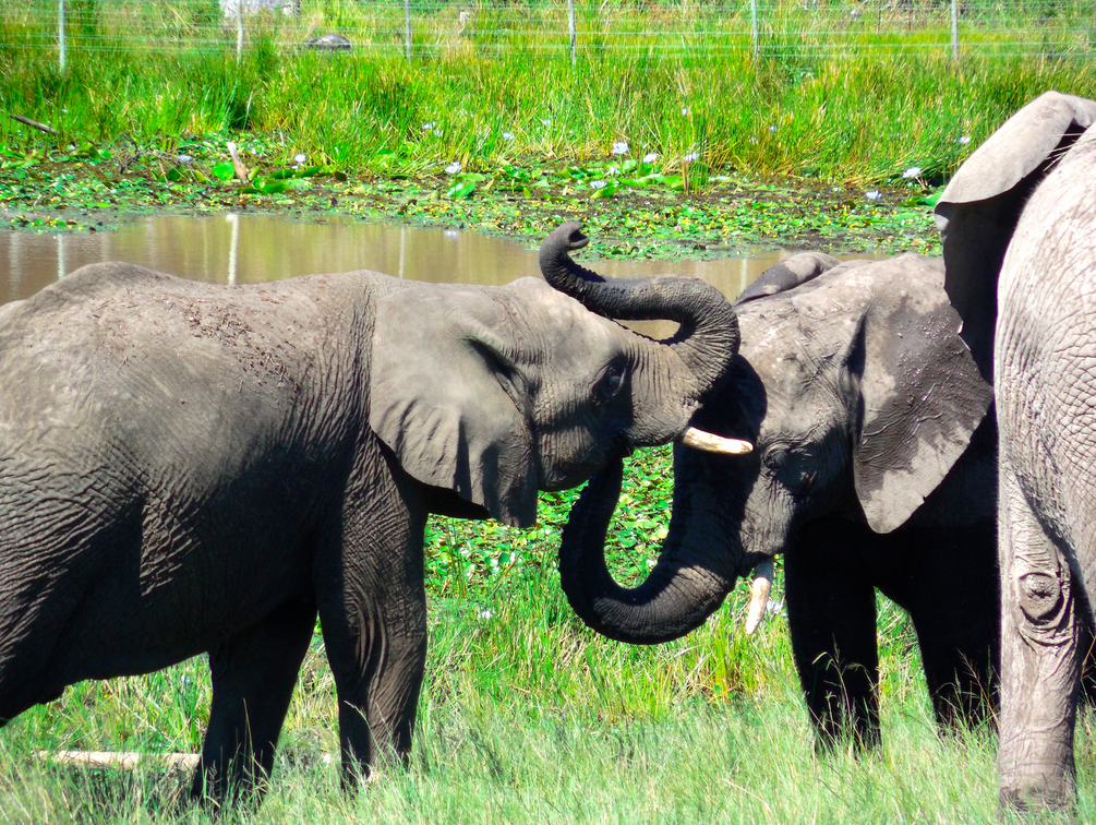 Screen Shot 2015-03-16 at 9.00.39 AM