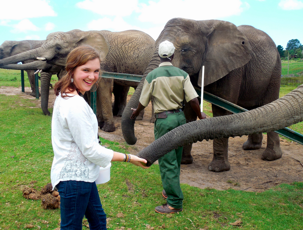 Screen Shot 2015-03-16 at 9.00.47 AM