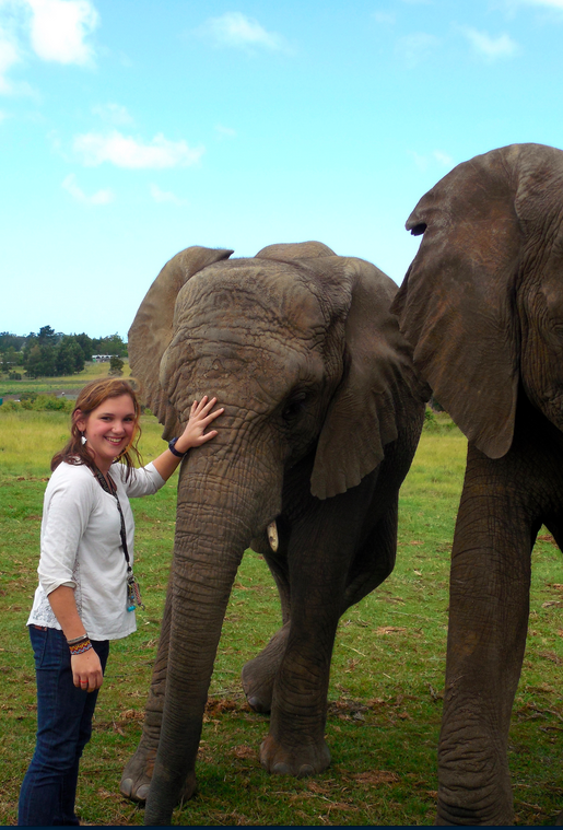 Screen Shot 2015-03-16 at 9.01.24 AM