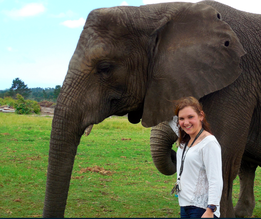 Screen Shot 2015-03-16 at 9.01.34 AM