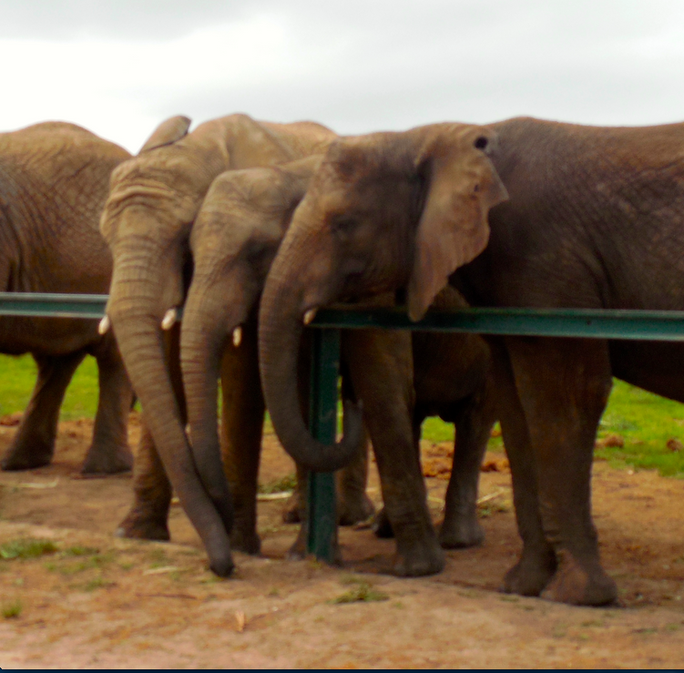 Screen Shot 2015-03-16 at 9.03.19 AM