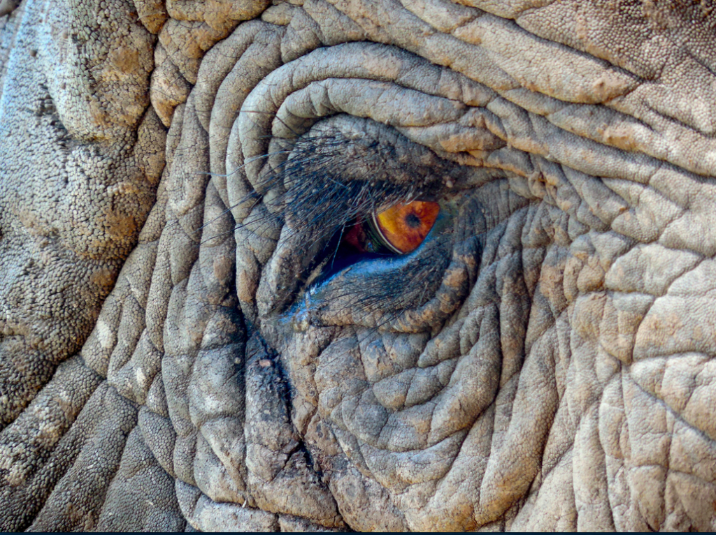 Screen Shot 2015-03-16 at 9.03.54 AM