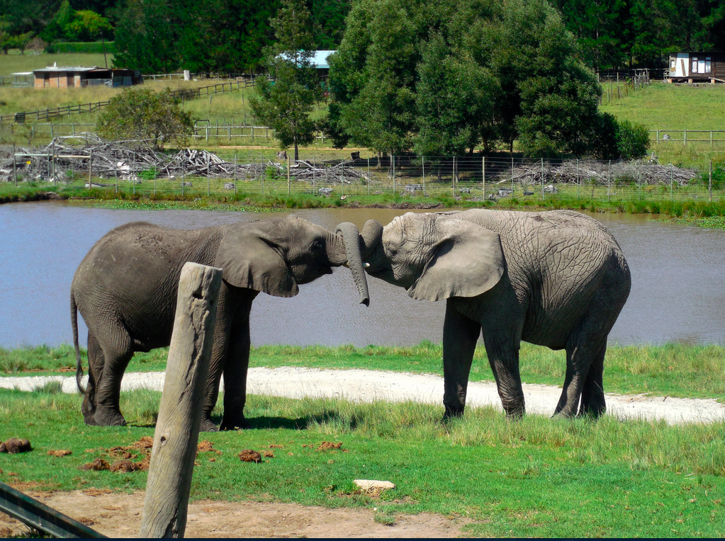 Screen Shot 2015-03-16 at 9.04.02 AM