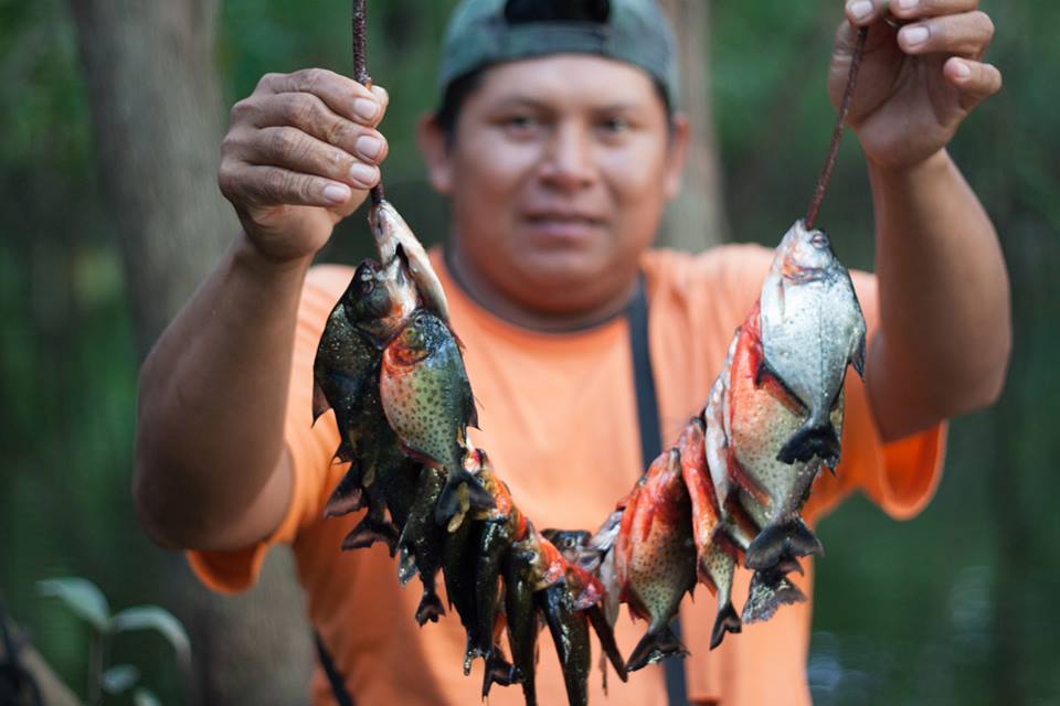 In the Amazon of Brazil, this boat driver and tour guide makes a living by teaching tourists how to catch pirhana with a stick and 4 foot fishing wire. 