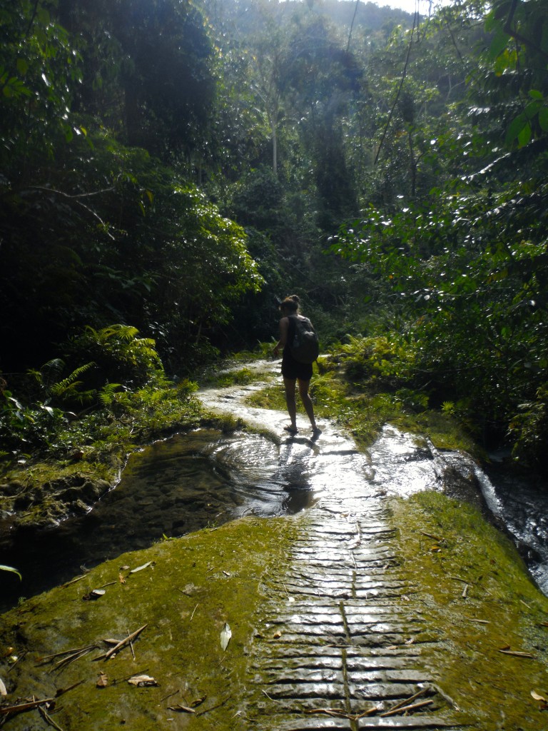 Evangeline reflection