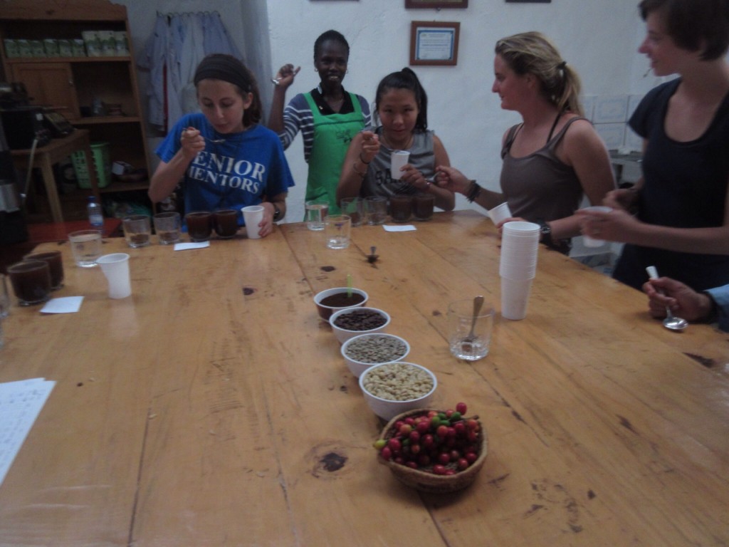 8896b7065b8647667090eac058deae80