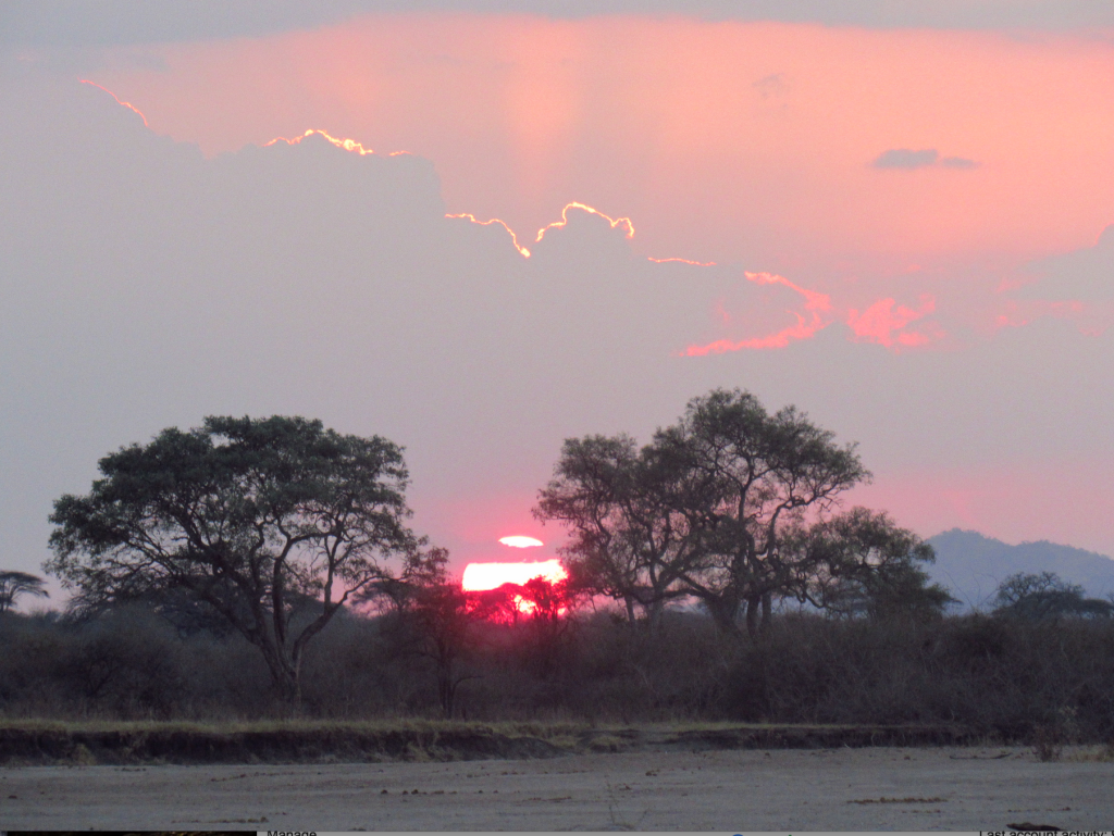 Kifaru Safari Fall 2015 4