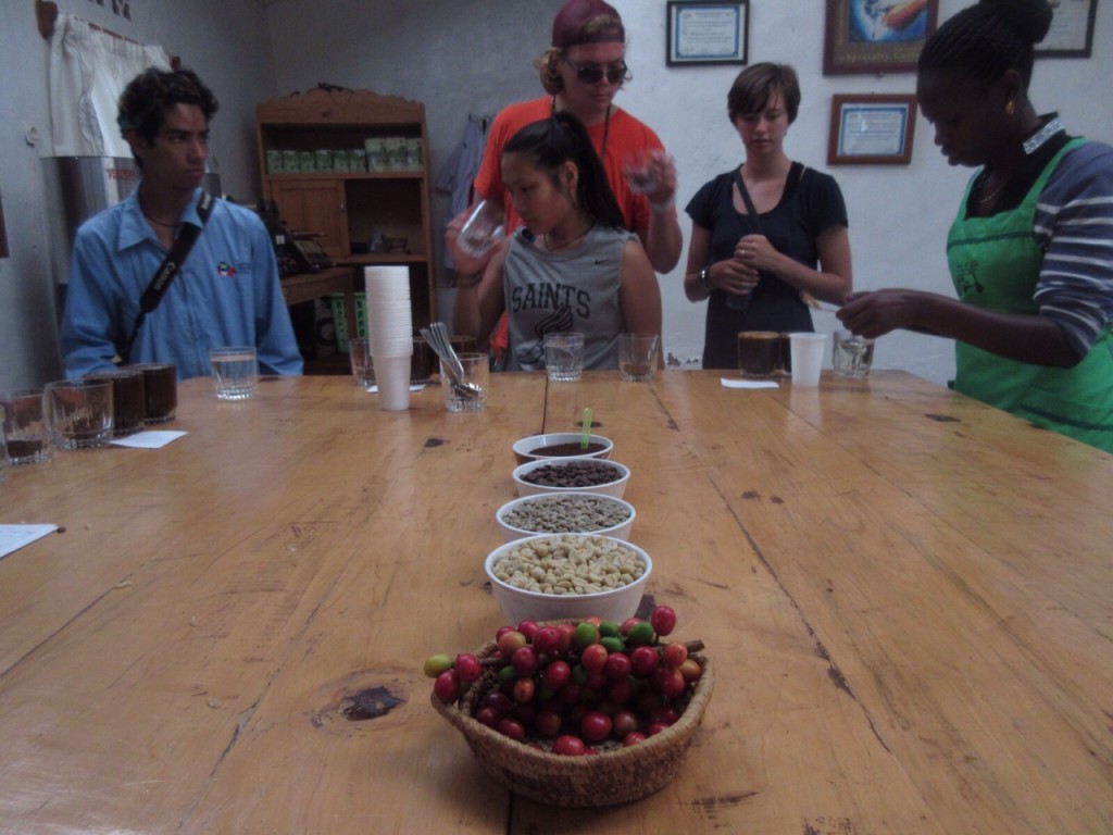 d819d8f93d28dc00dbd47310befad283