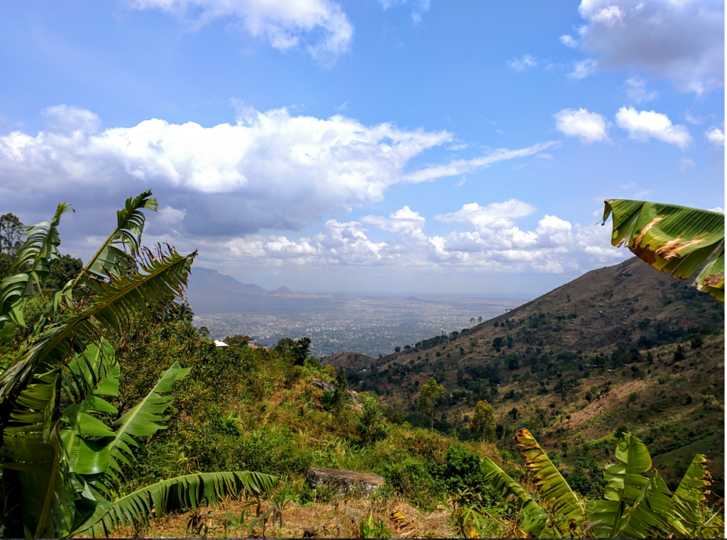 Screen Shot 2015-11-02 at 8.50.58 AM