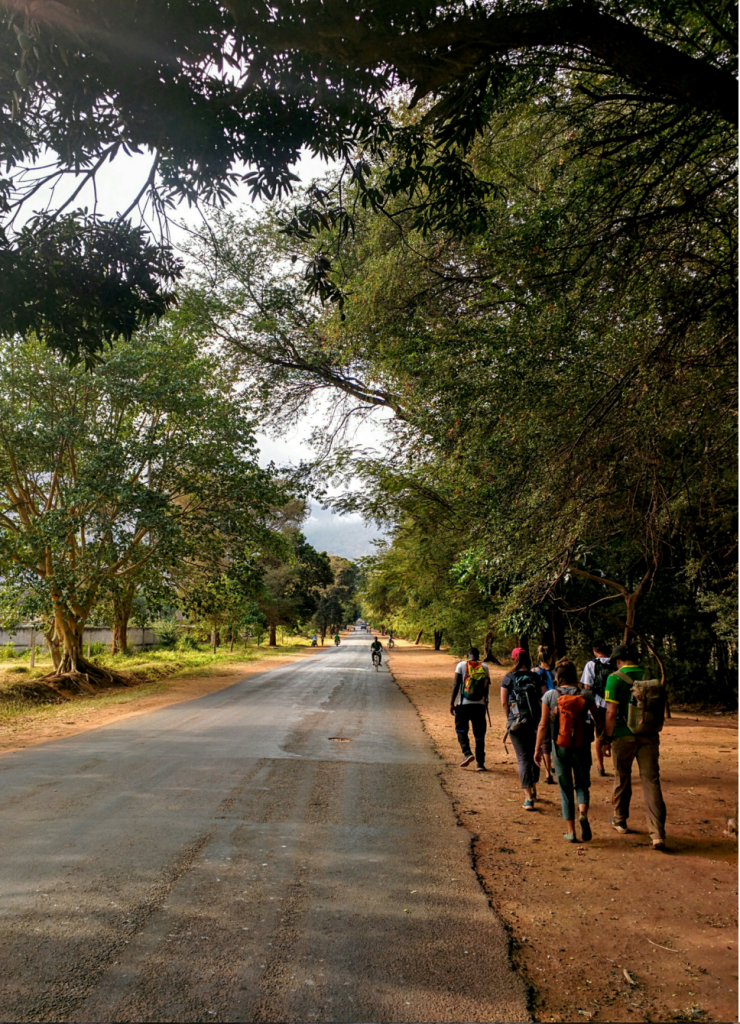 Screen Shot 2015-11-02 at 8.51.23 AM