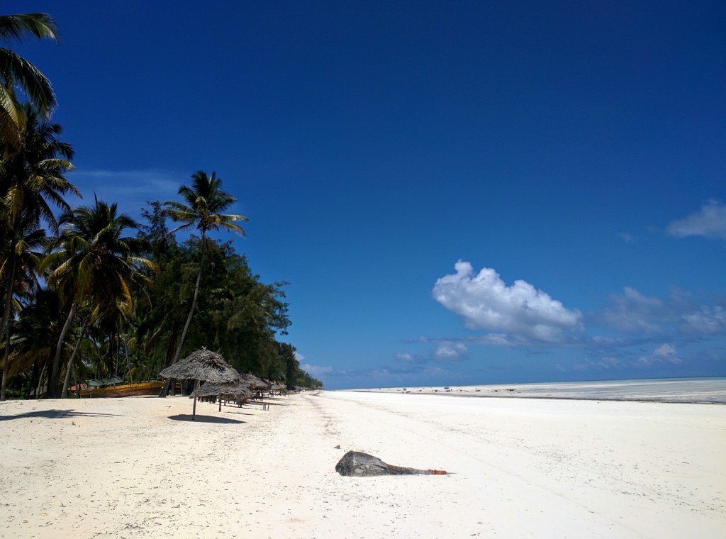 Nkula Paje fall 2015