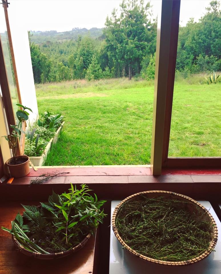 12644742_1114731895227432_7002122664326764722_n