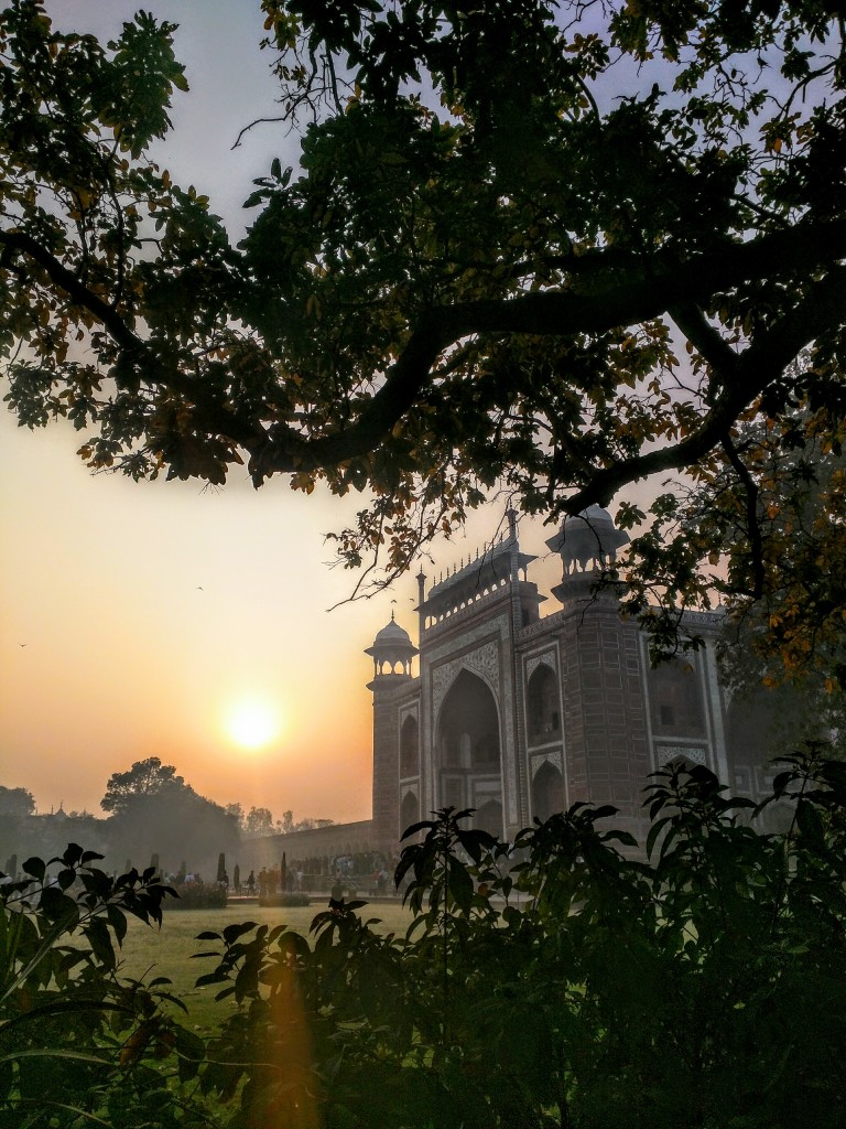 IMG_20160228_072550~2